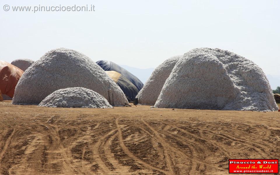 Ethiopia - 861 - Cotone.jpg
